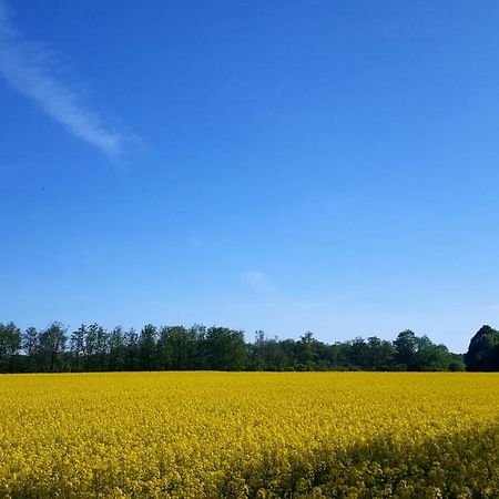 Ferienwohnung Urte In Putgarten , Kap Arkona Ruegen Kültér fotó