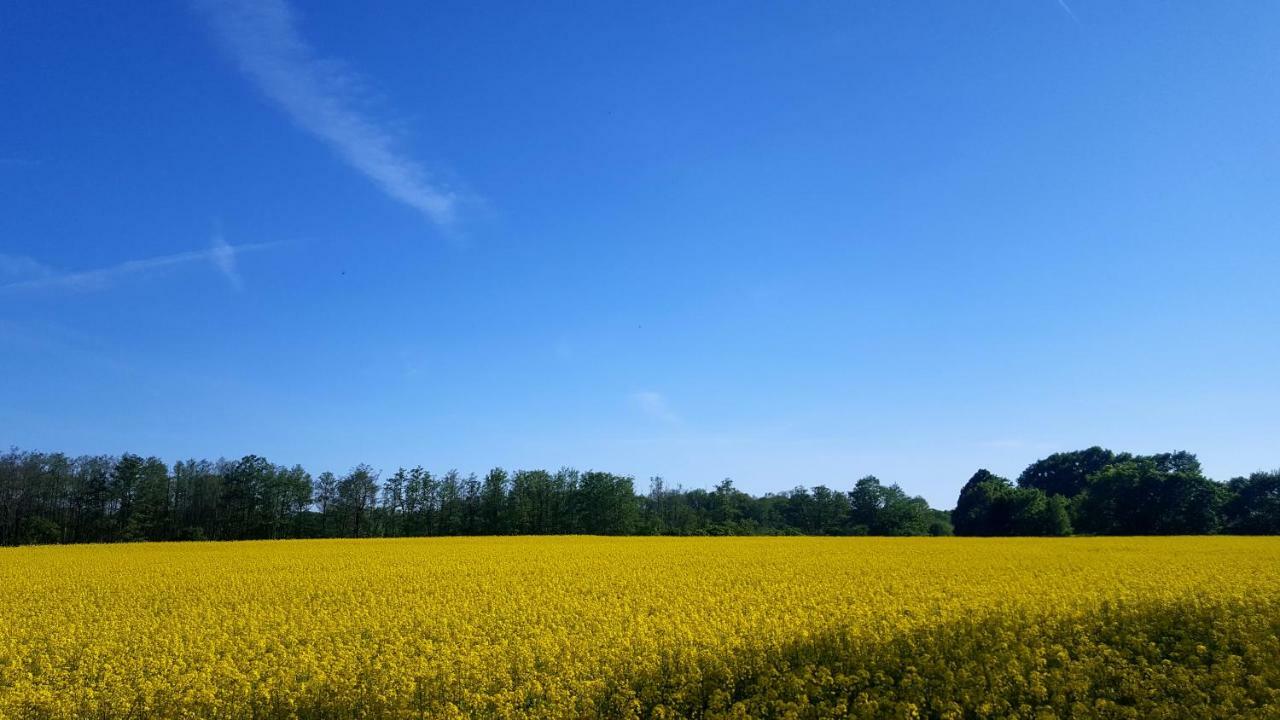 Ferienwohnung Urte In Putgarten , Kap Arkona Ruegen Kültér fotó